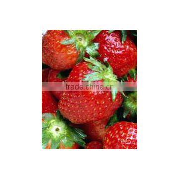 STRAWBERRY SCENT FOR FRAGRANCES