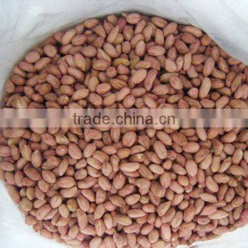 2013 crop shandong raw peanuts without shell