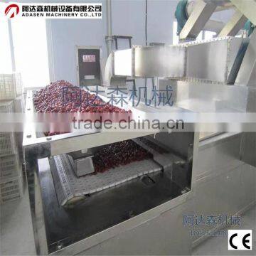 Tunnel Type Red Jujube Microwave Dryer Machine/Drying Machinery/Microwave Oven