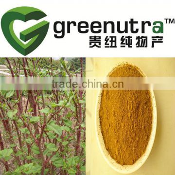 Giant knot weed extract