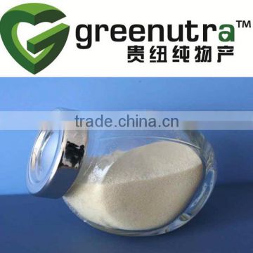 fish scale collagen powder