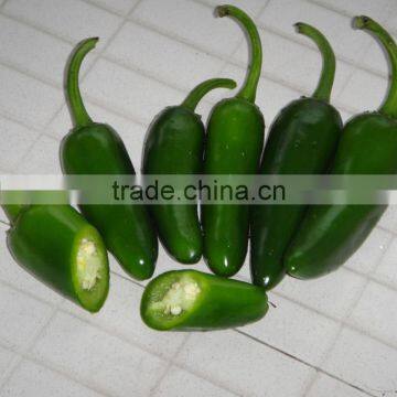 Small Hot Pepper/Chilli Seed Bullet No.2 photo-2