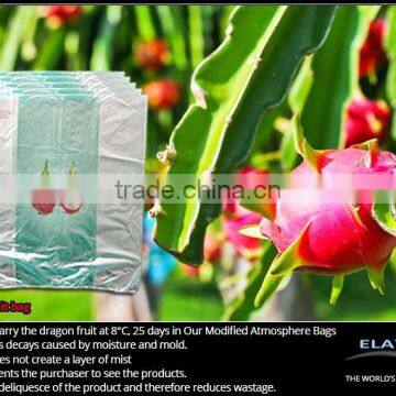 Dragon Fruit Bag
