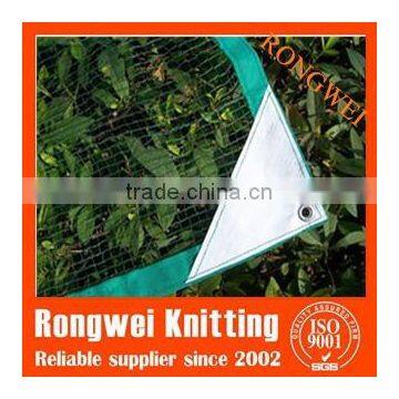 collection olive netting on sales