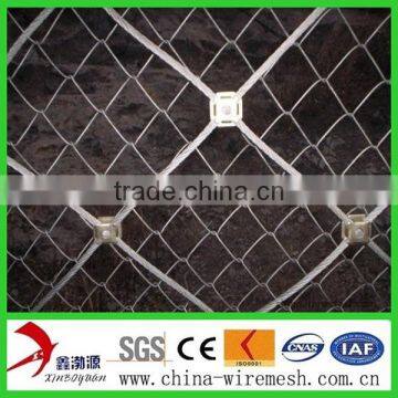 Anping China Supplier Flexible Ring Network/ Passive Slope Netting/flexible Metal Mesh Netting photo-4
