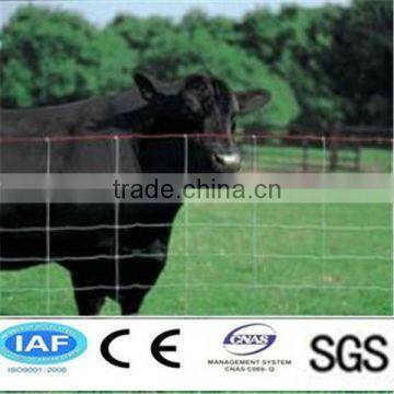 hot sale Grassland Fence