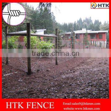High Tensile Private Yard Security Fence With Best Price photo-4