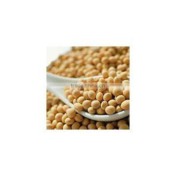 Soybean Colloid Mill Machine