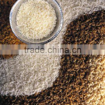 Automatic CDD Rice Color Sorter photo-6