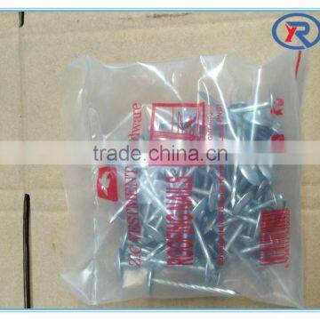 Prego Clavos BWG9 2.5 Inch Twisted Shank Galvanized Umbrella Head Roofing Nail photo-5