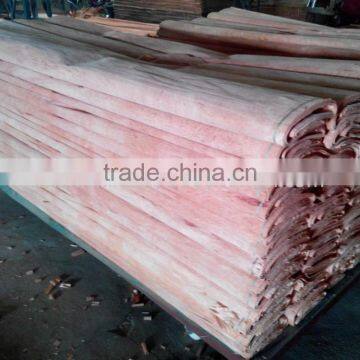 Linyi Factory Rotary Cut Grade a b c 0.30mm 4'x8' Bintangor Face Veneer photo-2