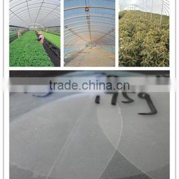 hot promotion agricultural film, clear plastic anti-uv greenhouse film with competitive price