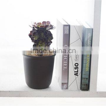 Plastic Round Resin Succulent Plant Pot/Cactus Plant Pot Flower Pot