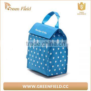 High Quality Nylon Cooler Bag Insulated Lunch Cooler Bag photo-2