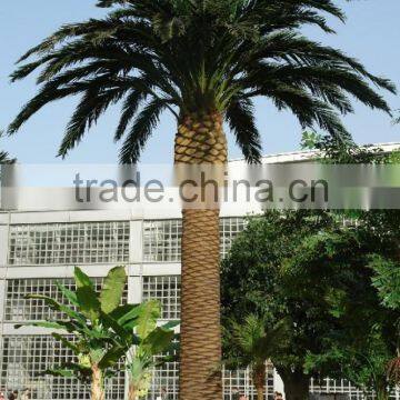 fake plastic coconut tree factory home garden ornament use artificial palm tree