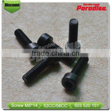 China 4500 5200 5800 Chainsaw Spare Parts Adjust Screw photo-4