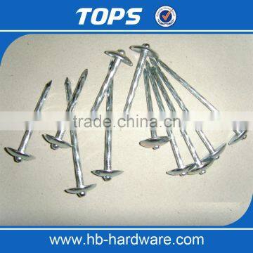 umbrella roofing nails/coil roofing nails