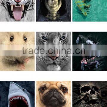 t Shirts in Bulk Sport New Pattern T-shirts Dry Fit 3d Printing T-shirt photo-4