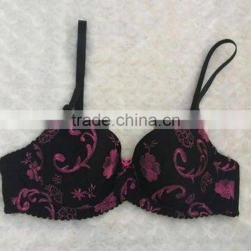 2015 Stylish charming embroidery beautiful bra sexy bra design www women sexi bra images com