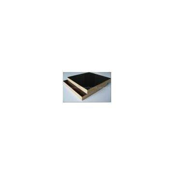 poplar plywood/poplar film faced plywood with brand name