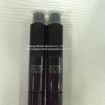 Genuine WP6G125E22 Engine Spare Parts 6B12H014518 13053066 FUEL INJECTOR photo-2