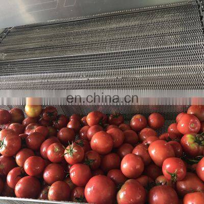 Multifunctional Bubble Cleaning Apple Avocado Mango Banana Fruit And Vegetable Washing Machine