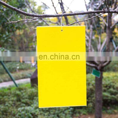 Dual-Sided Yellow Sticky Traps for Flying Plant Insect Such as Fungus Gnats Whiteflies Aphids Leafminers Thrips 20CM*10CM