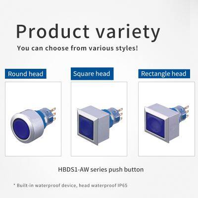 Ip65 16mm Rectangle Head Illumainted 24v 1no1nc Push Button Start Stop Switch Momentary