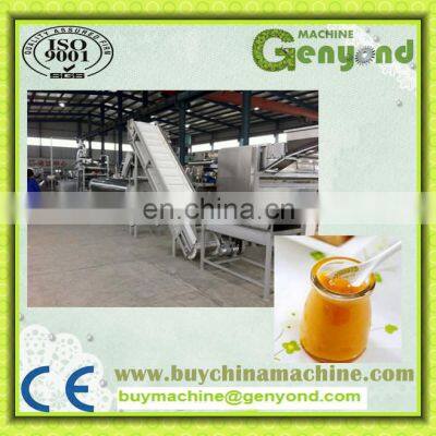 Complete Mango Puree Processing Machines photo-2