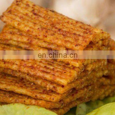 Chinese Hot Spicy Strips Production Line &making Machine Line photo-4