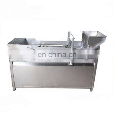 500KG Full automatic fruit leather making machines plant