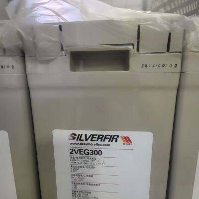 German Silver Fir Battery 2VEG1000 China General Agent photo-4
