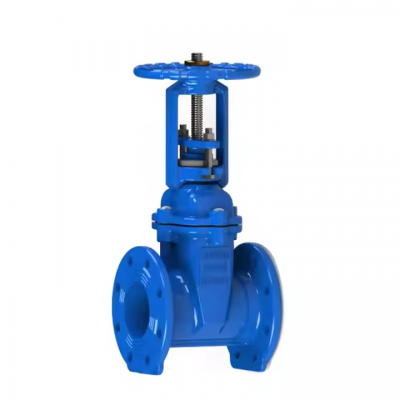DIN Gate Valve OS&Y Rising Stem Cast Iron Ductile Iron Gate Valve With Epoxy Coated Ggg50 GG25