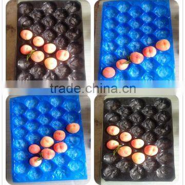 China Wholesale Custom food grade mango plastic tray