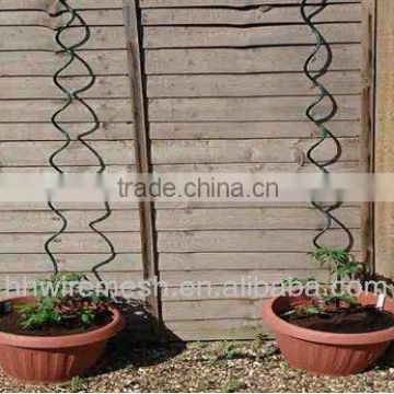 Hot sale!Galvanized steel tomato spiral wire