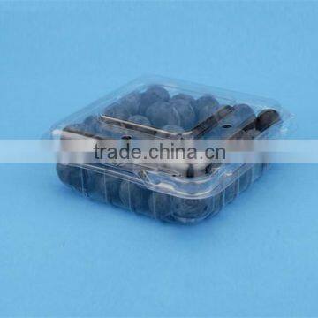 PVC plastic blueberry packaging boxes