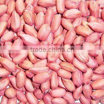 Sell Peanut kernels