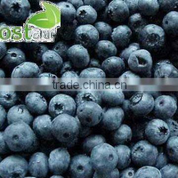 Top quality wild blueberries