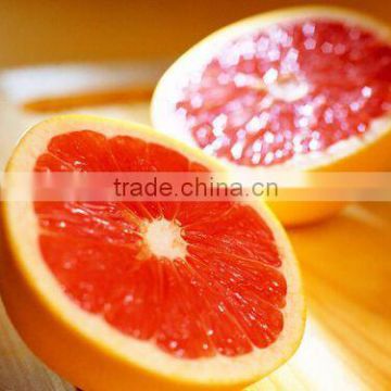 100 Pure Natural Organic Grapefruit Essential Oil