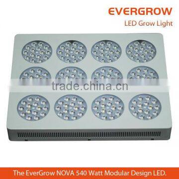Super Power NOVA T12 led growing light for import