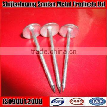 Sell electro galvanized twisted shank clout nail