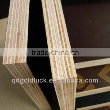 Concrete Formwork Plywood
