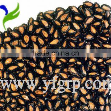 Chinese Black Watermelon Seed