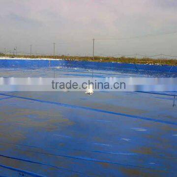 Dam Liner HDPE Plastic Geomembrane photo-2