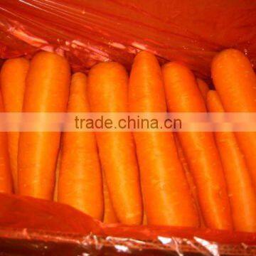 Fresh Carrot