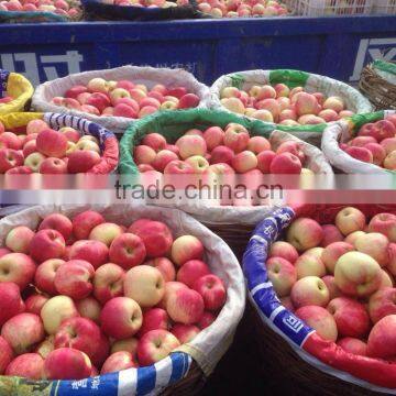 Fresh Apples photo-2