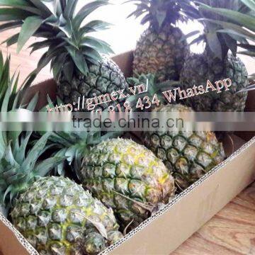 fresh pineapple sweet