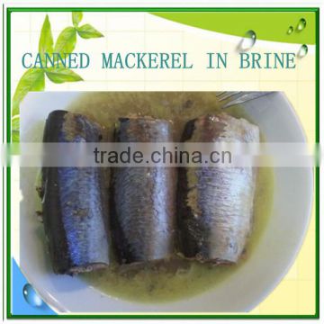 canned jack mackerel in brine