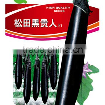 Highly recommended Hybrid High yield black eggplant seeds for growing-ST Black Man