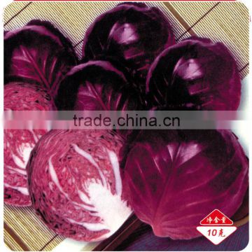 Chinese vegetable hybrid cabbage Seeds Kale Seed vegetable seeds for planting-Rinda